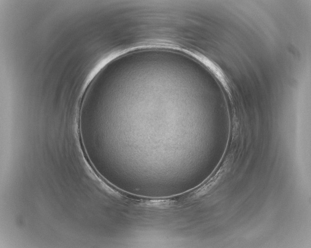 X0000116591390200912101530
