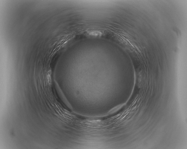 X0000116591394200912101529