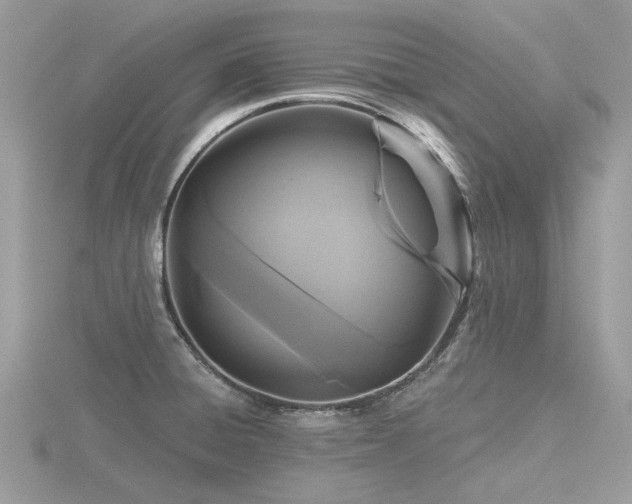 X0000116591428200912101530