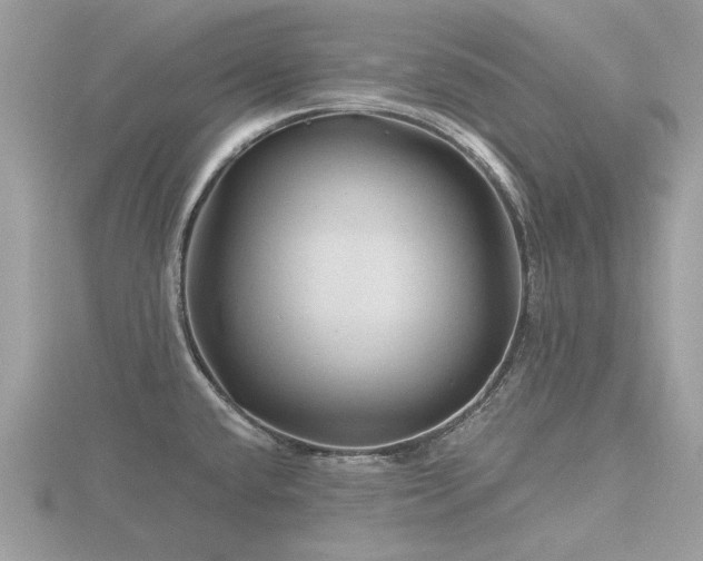 X0000116591432200912101530
