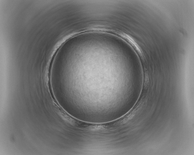 X0000116591435200912101530