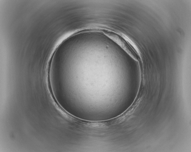 X0000116591437200912101530