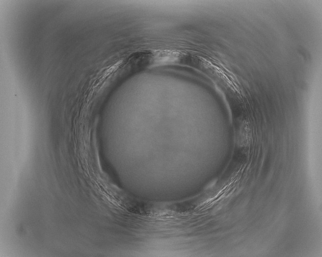 X0000116591441200912101529
