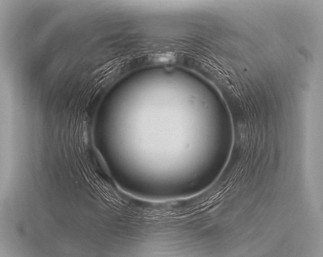 X0000116591442200912101529