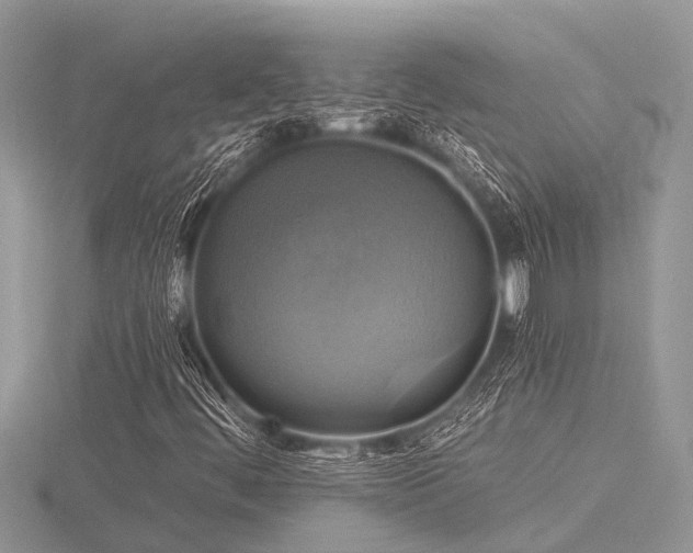 X0000116591444200912101529
