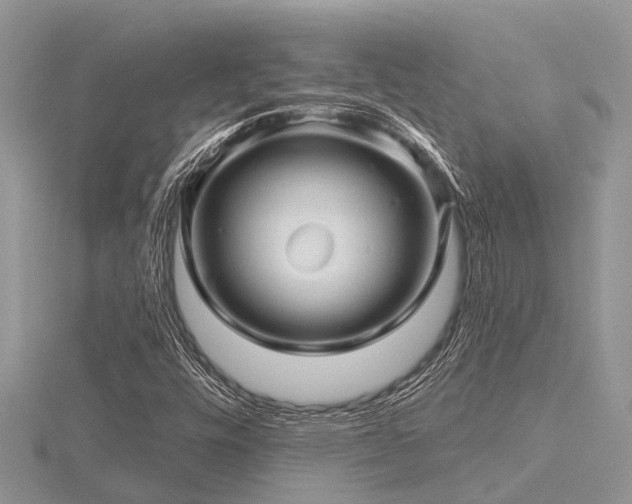 X0000116591448200912101529
