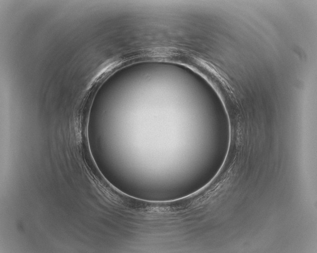 X0000116591451200912101529