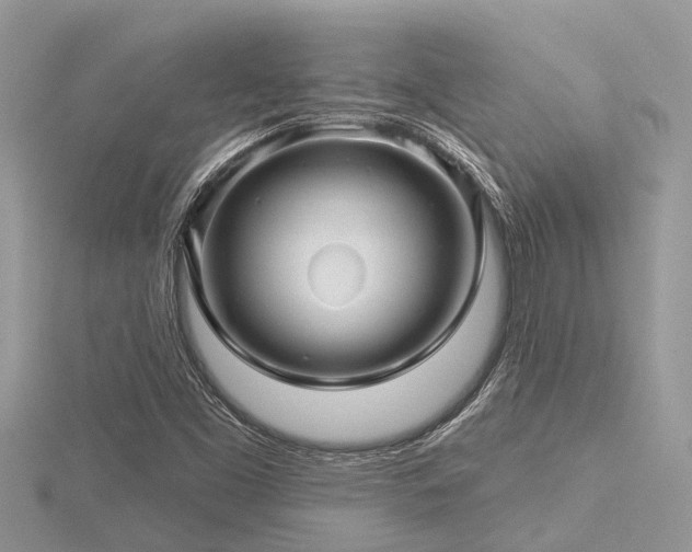 X0000116591453200912101529