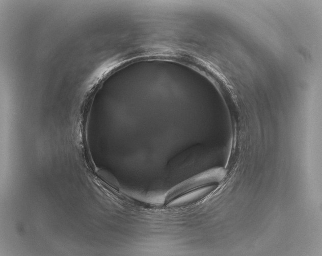 X0000116591455200912101529