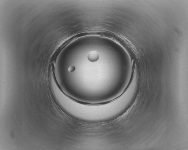 X0000116591457200912101529