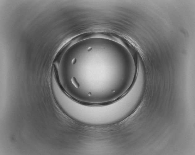 X0000116591465200912101529