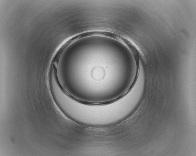 X0000116591468200912101529