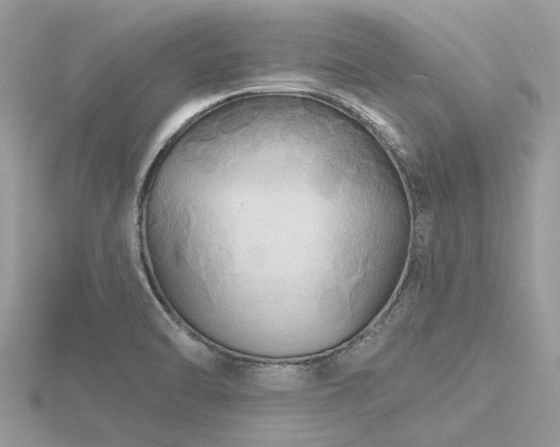 X0000116591470200912101529