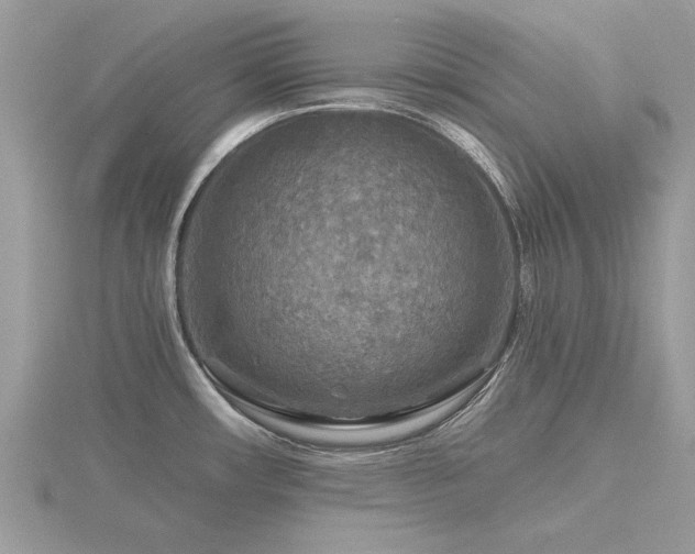 X0000116591482200912101529