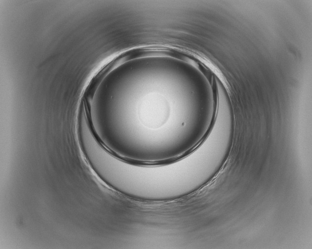 X0000116591485200912101529
