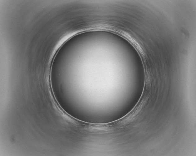 X0000116591486200912101529