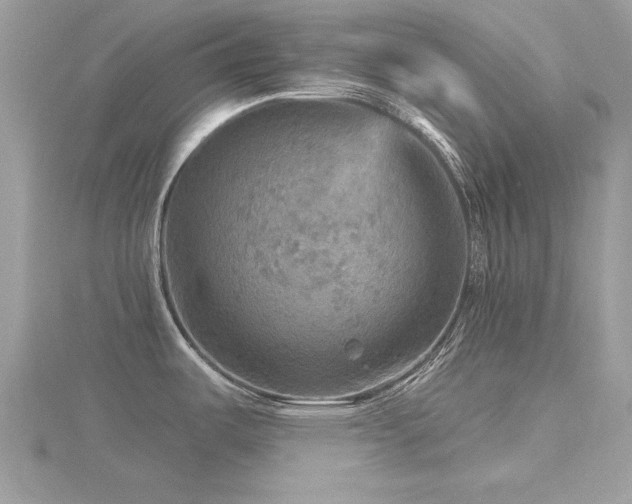 X0000116591487200912101529
