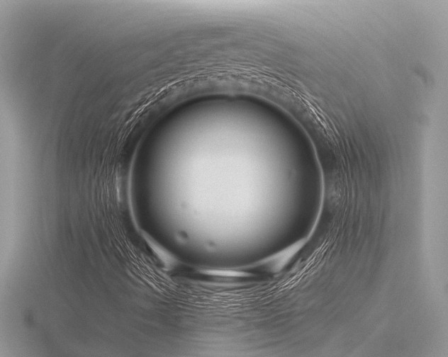 X0000116591490200912101528
