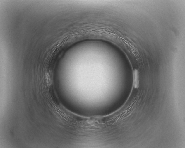 X0000116591491200912101528