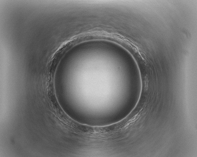 X0000116591494200912101528