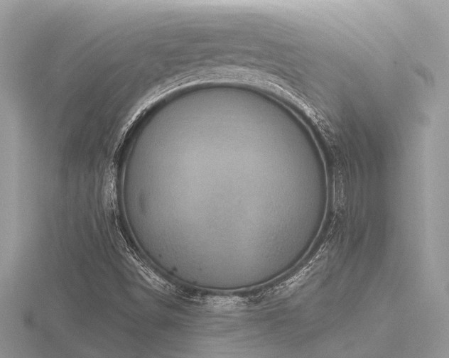 X0000116591498200912101528