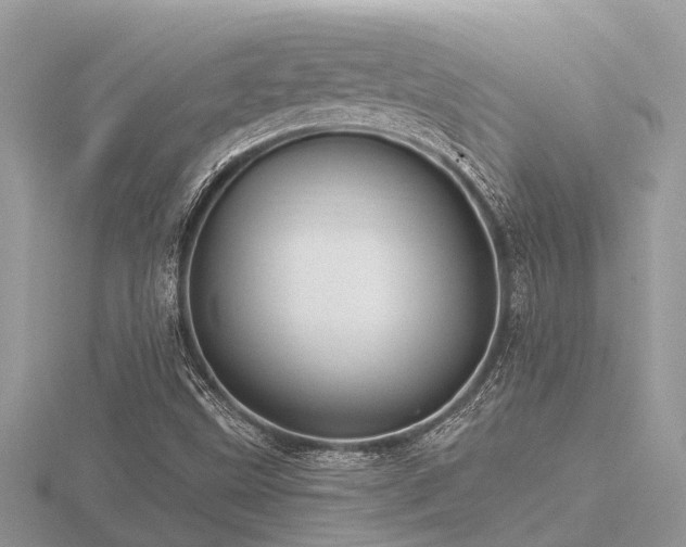 X0000116591499200912101528