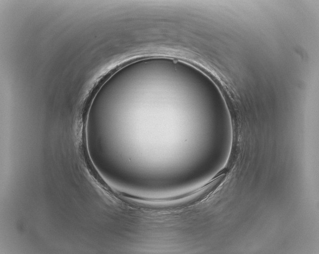 X0000116591507200912101528