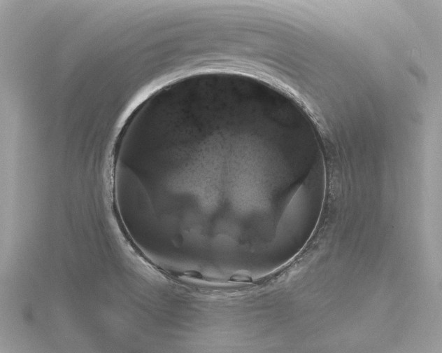 X0000116591522200912101529