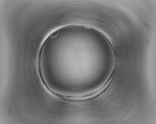 X0000116591531200912101529