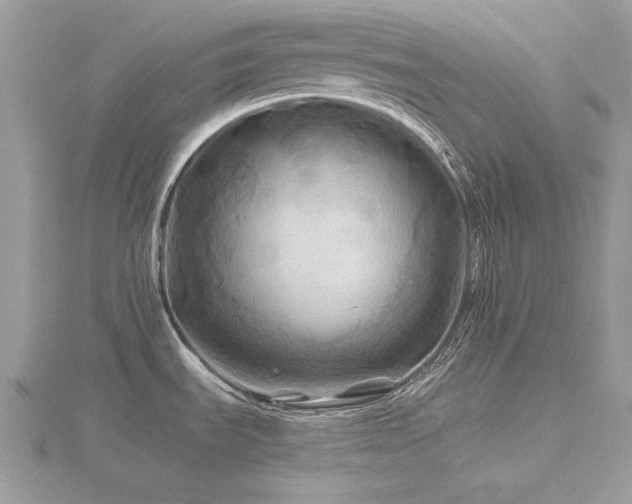 X0000116591535200912101529