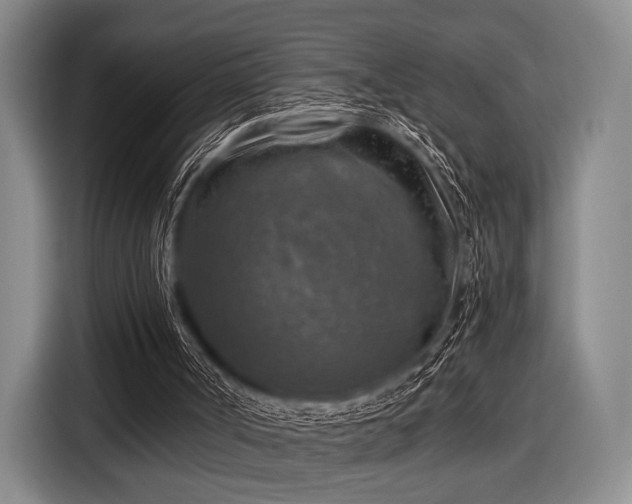 X0000116590002200912171603