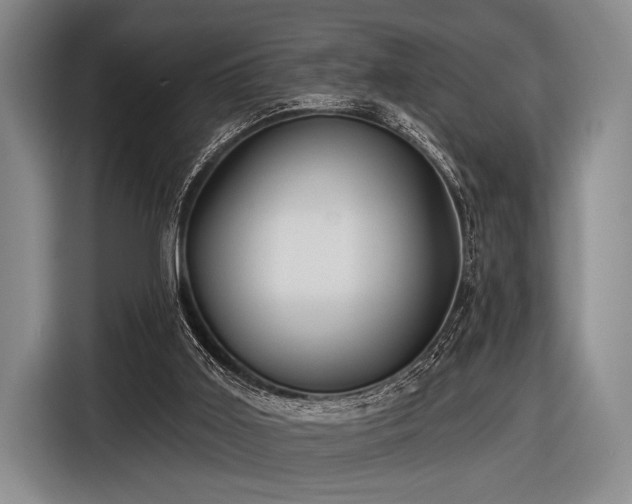 X0000116590011200912171603