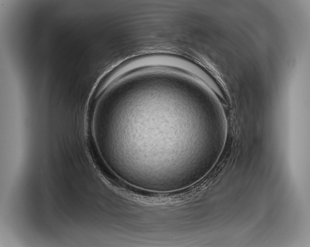 X0000116590012200912171603