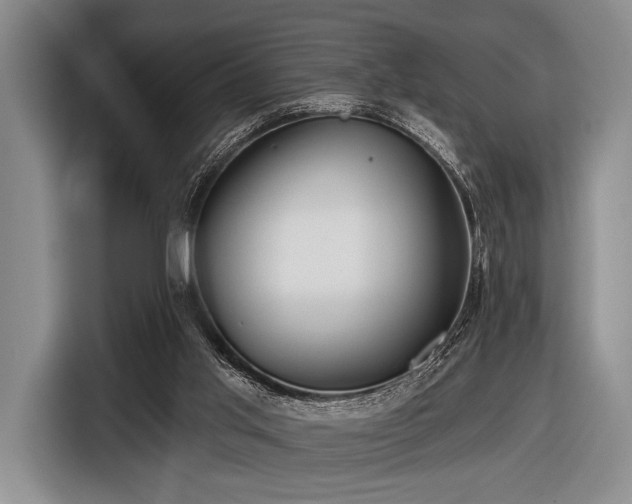 X0000116590013200912171603