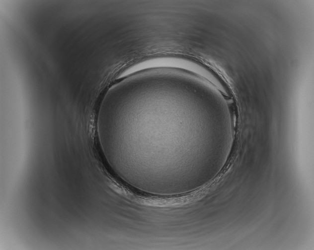 X0000116590017200912171602