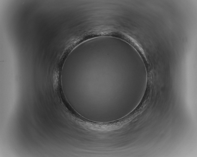 X0000116590018200912171602