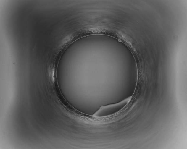 X0000116590019200912171602