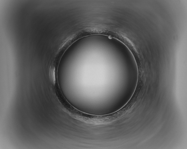 X0000116590020200912171602