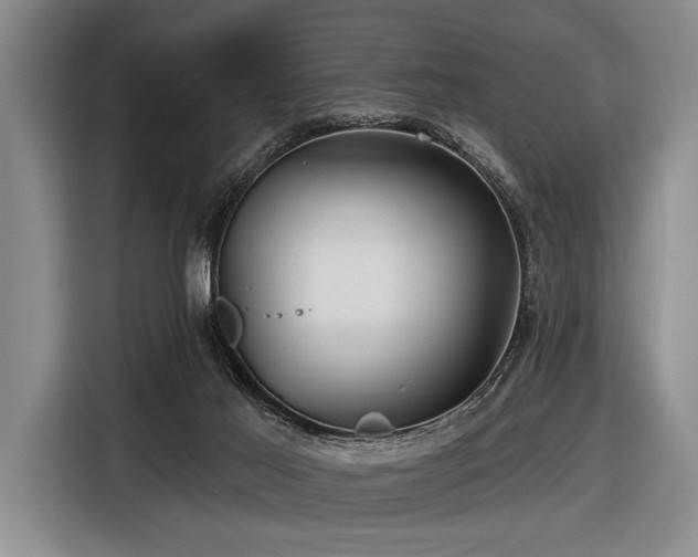 X0000116590021200912171602