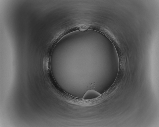 X0000116590023200912171602