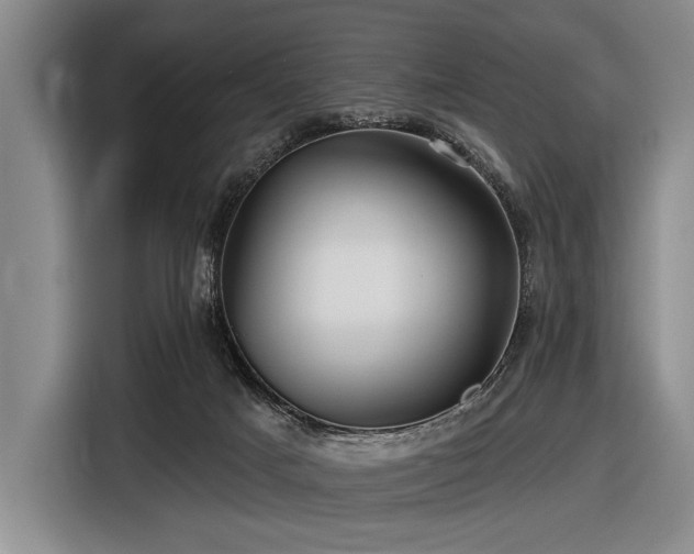 X0000116590025200912171602