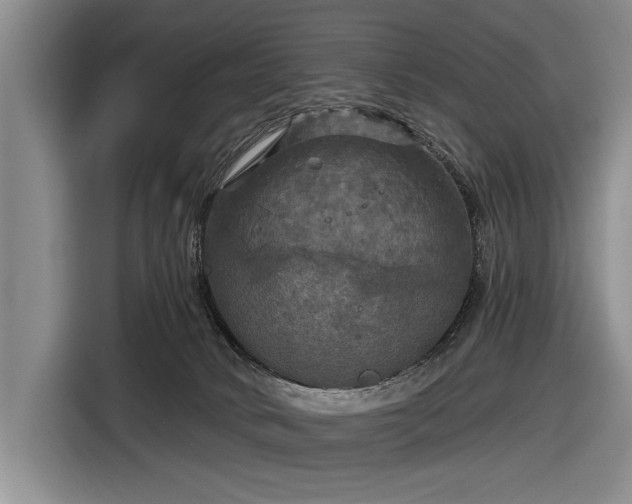 X0000116590034200912171602