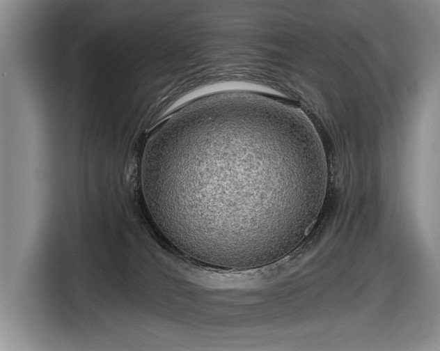 X0000116590036200912171602