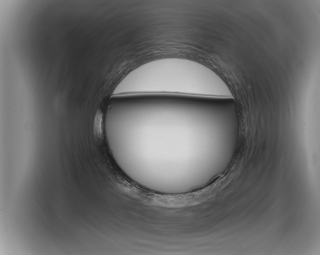 X0000116590041200912171602