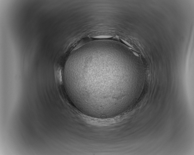 X0000116590042200912171602