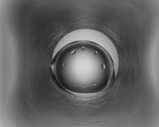 X0000116590043200912171602