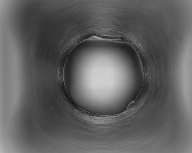 X0000116590044200912171602