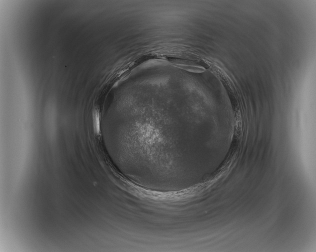 X0000116590046200912171602