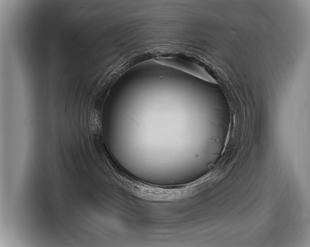 X0000116590048200912171602