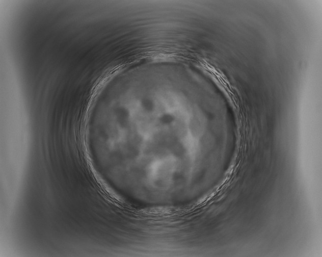 X0000116590049200912171601